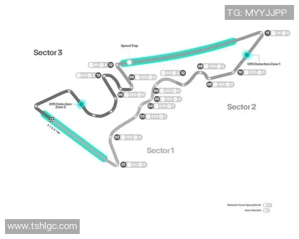 F1赛季赛道适应策略分析及车队表现深度评析 F1赛季赛道适应策略分析及车队表现深度评析